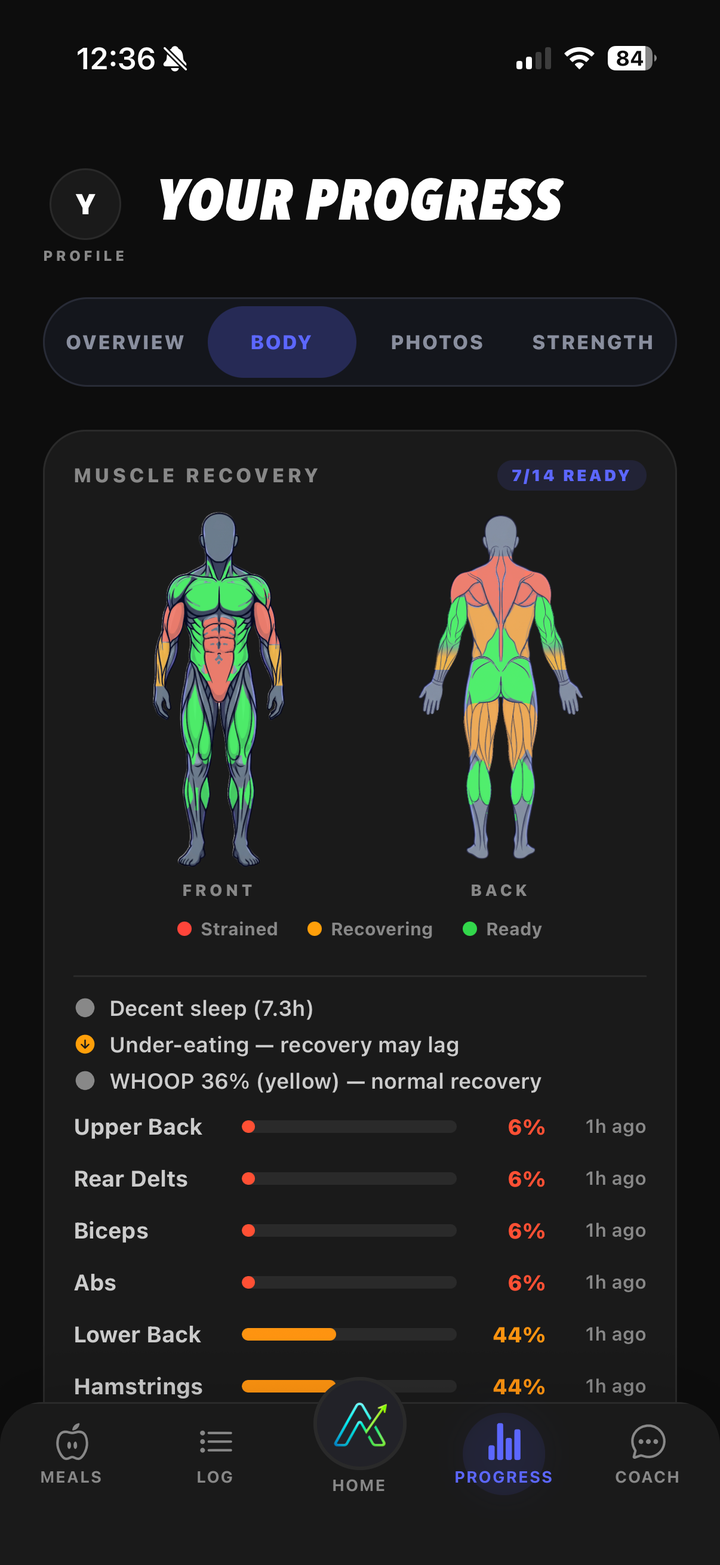 Ascend Progress, Body view: the muscle recovery diagram with strained, recovering and ready muscles, sleep and per-muscle percentages